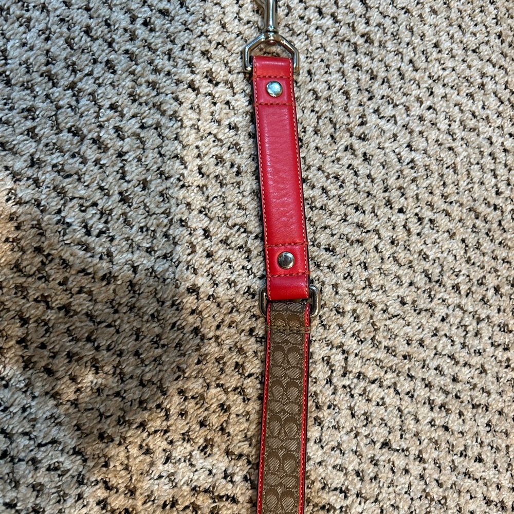 Coach dog leash
